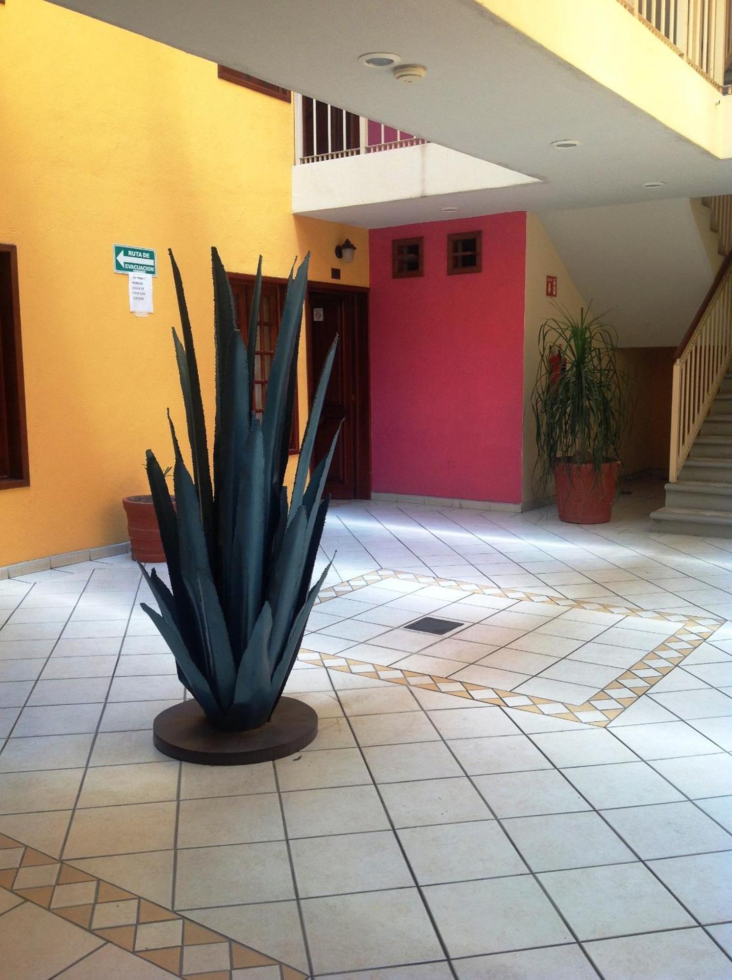 Plaza Jardin Hotel Tequila Kültér fotó